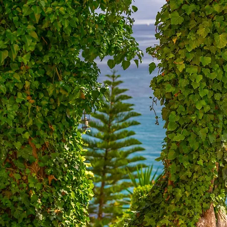Oasis Hotel