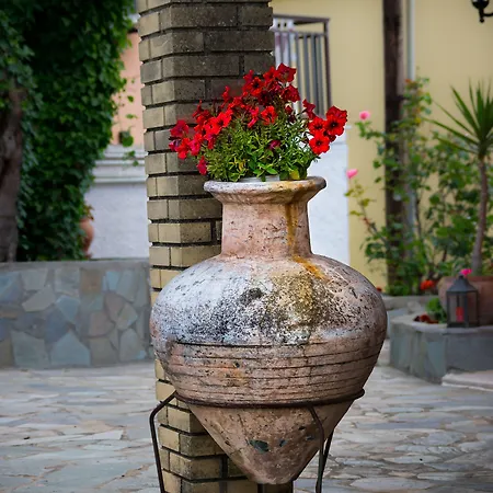 Oasis 3* Perama (Corfu)