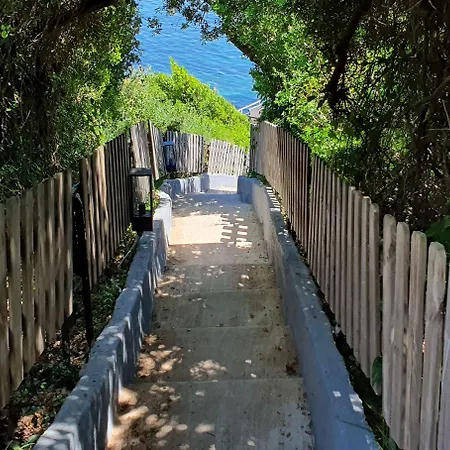 Oasis 3*